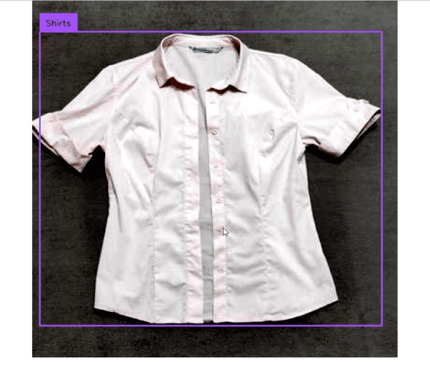 Fashion Object Detection